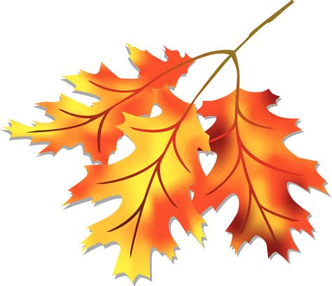 autumn leaves clipart|free clip art of autumn leaves.